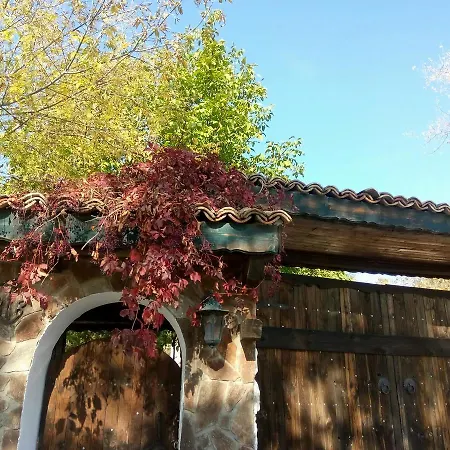 And Tavern Chapaya * Kipra